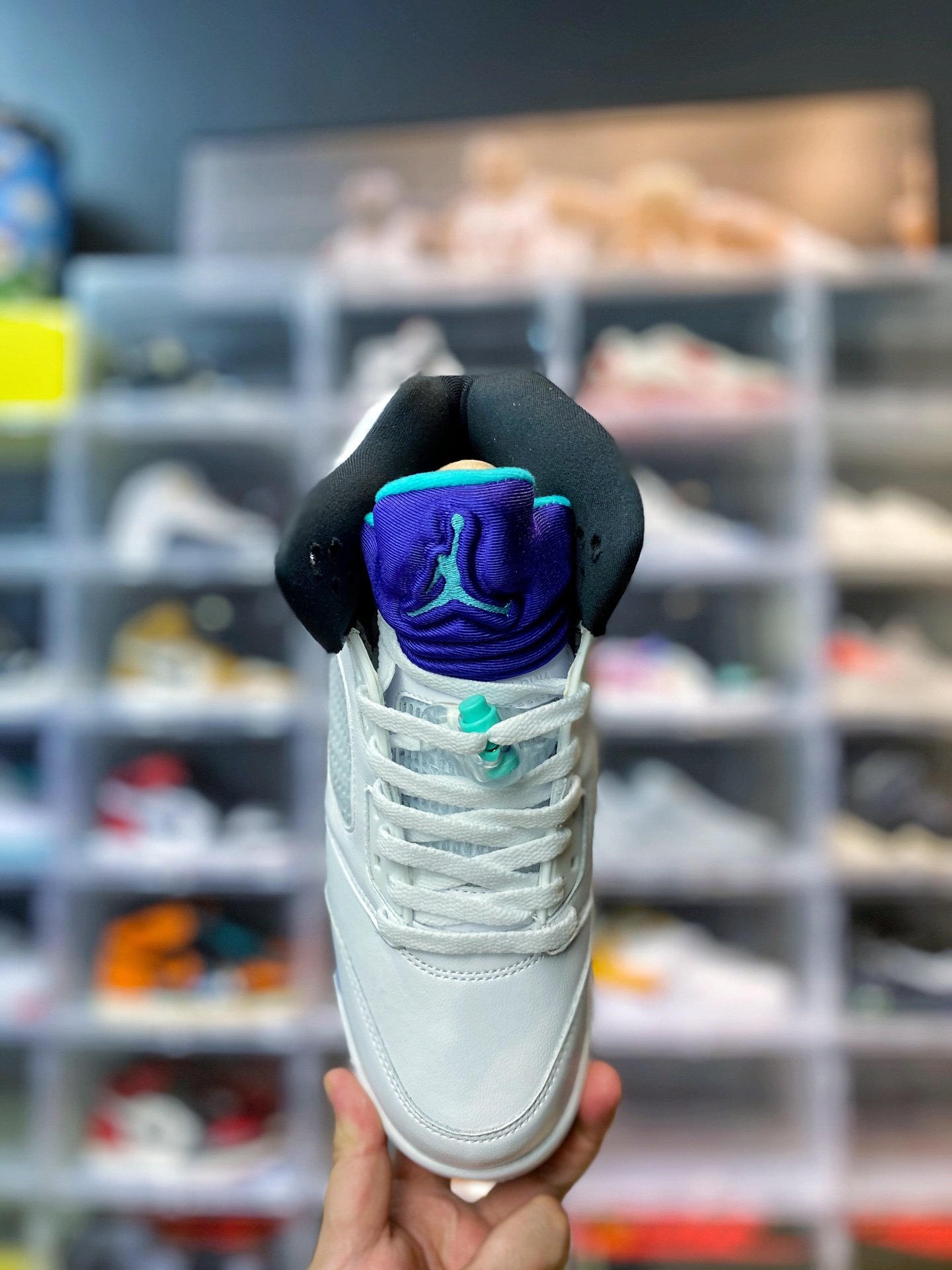 13381337593486929 13381337593486929