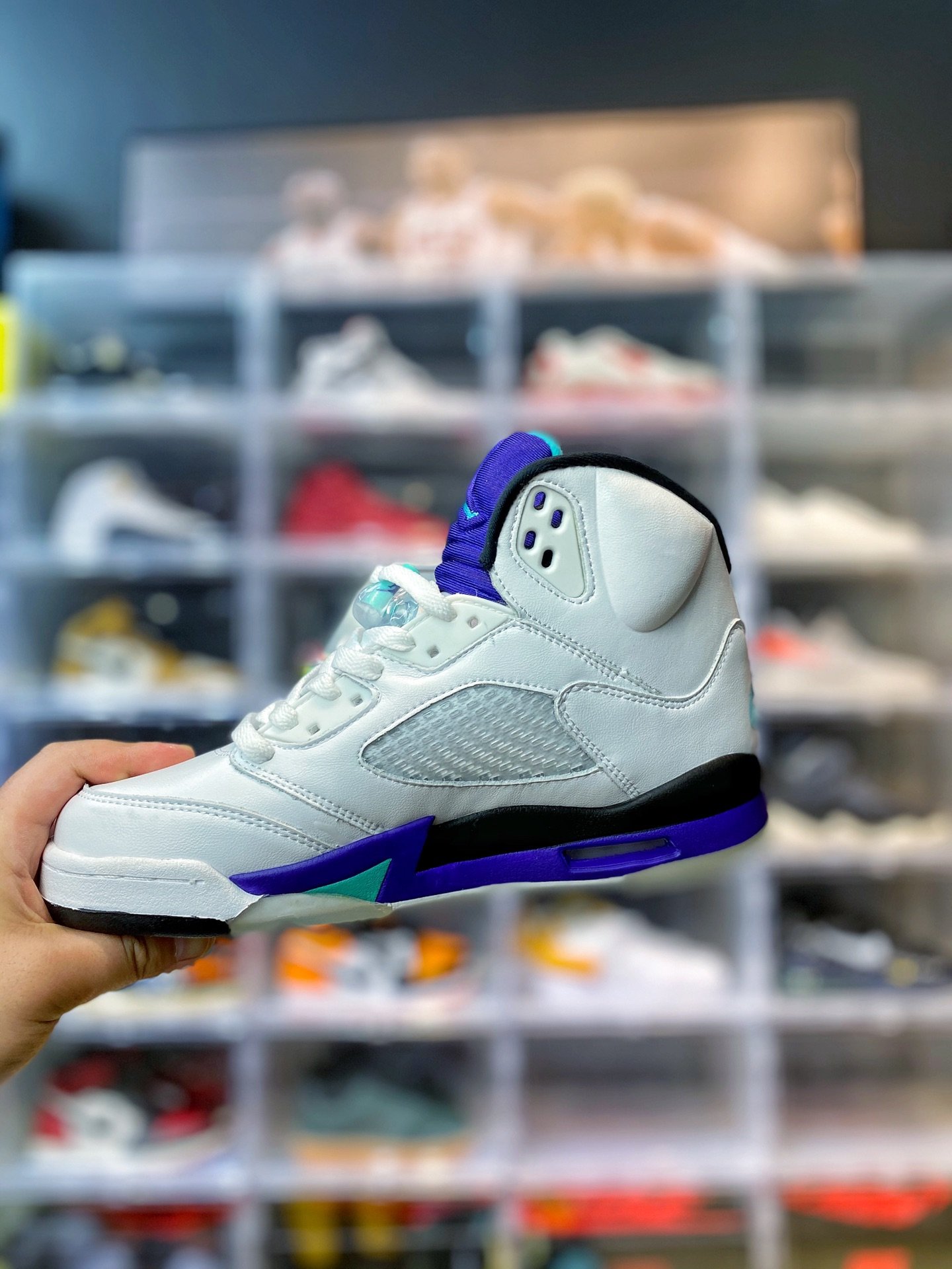 13381337594393281 13381337594393281