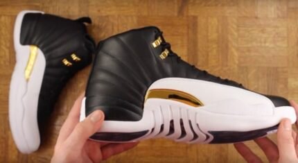 wings air jordan 12 review 3