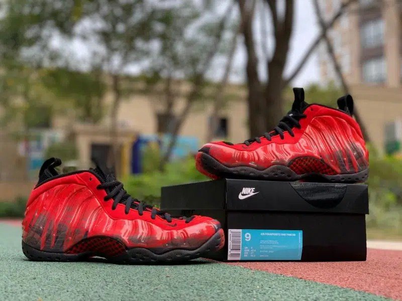 PRM 1 scaled 800x600